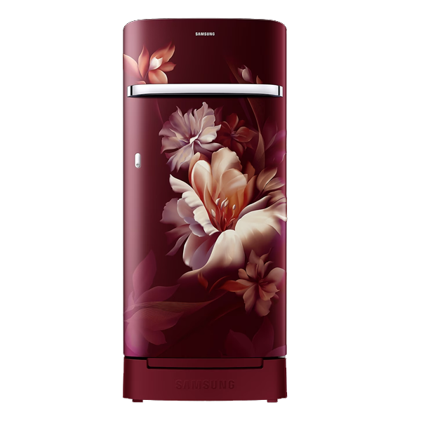 Samsung 189L Horizontal Curve Design Direct Cool Single Door Refrigerator (RR21C2H25RZ)